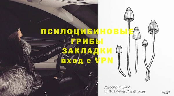 эйфоретик Богданович