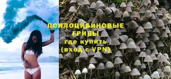 СК Богородицк