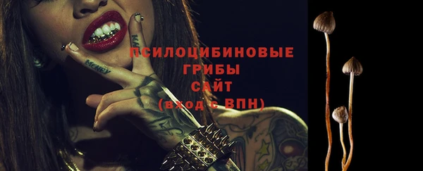 эйфоретик Богданович