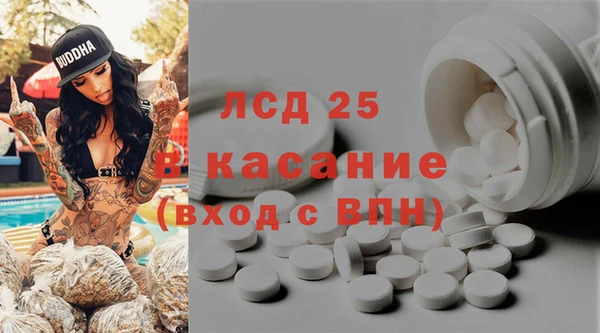 эйфоретик Богданович