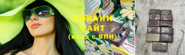 эйфоретик Богданович