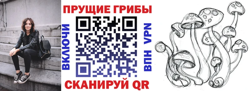 Галлюциногенные грибы прущие грибы  Тулун 